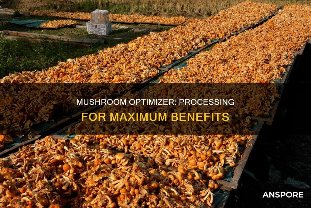 how is mushroom optimizer processed