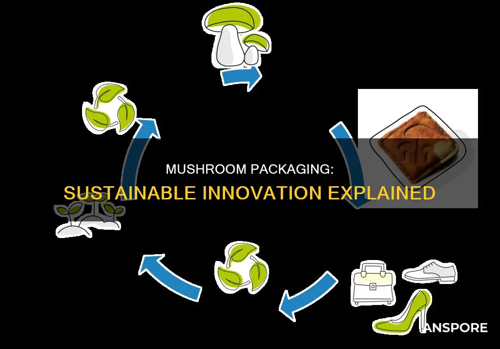 how is mushroom packaging made