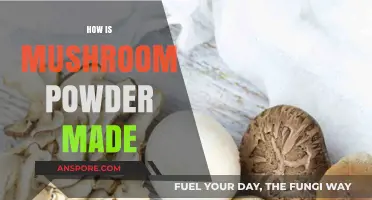 Making Mushroom Powder: A Step-by-Step Guide