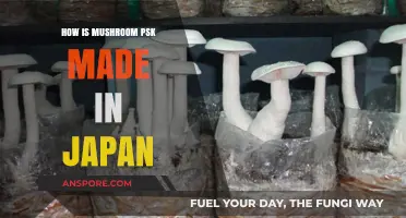 Mushroom Magic: PSK Extraction Process in Japan