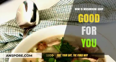 Mushroom Soup Benefits: Boosting Immunity, Digestion, and Overall Health Naturally