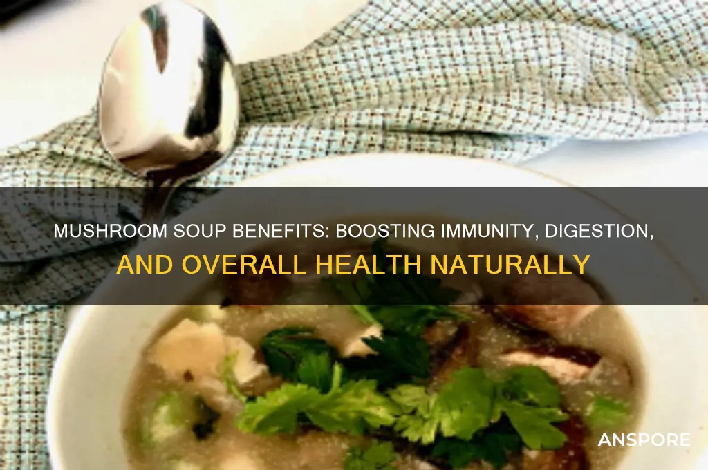 how is mushroom soup good for you