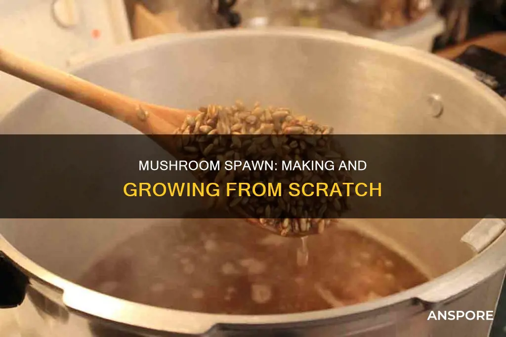 how is mushroom spawn made