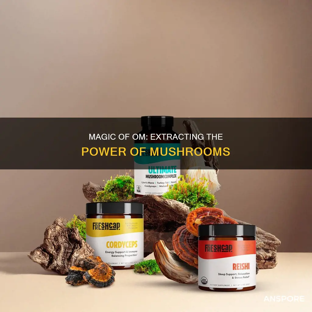 how is om mushrooms extracted