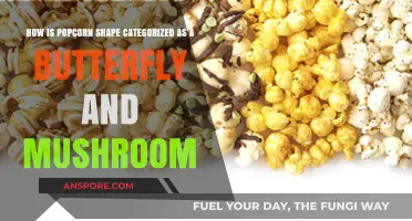 Popcorn Shape: Mushroom vs Butterfly