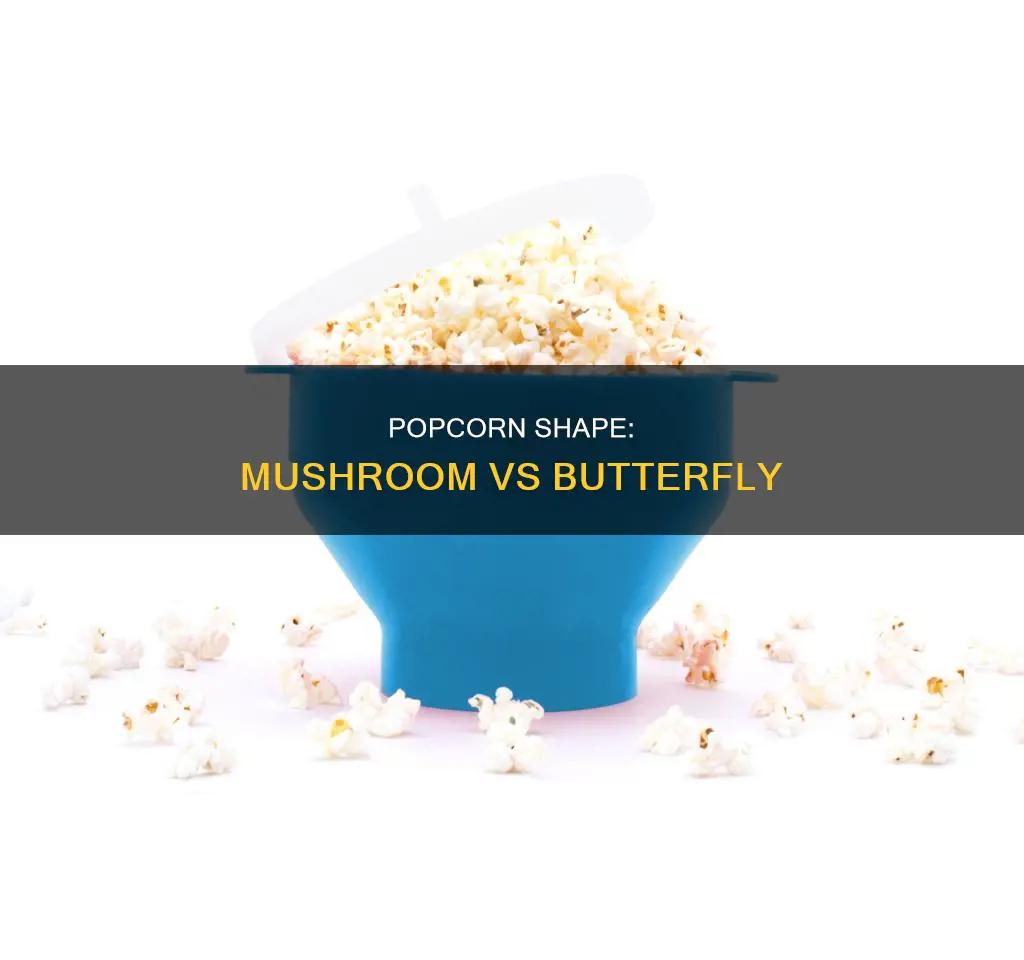 how is popcorn shape categorized as a butterfly and mushroom