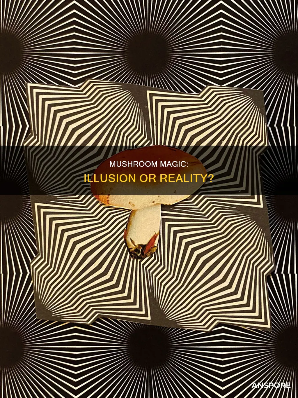 how is psilocybin mushroom illusion