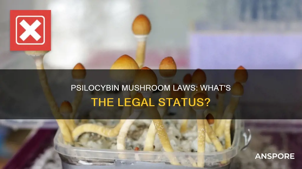 how is psilocybin mushrooms regulated