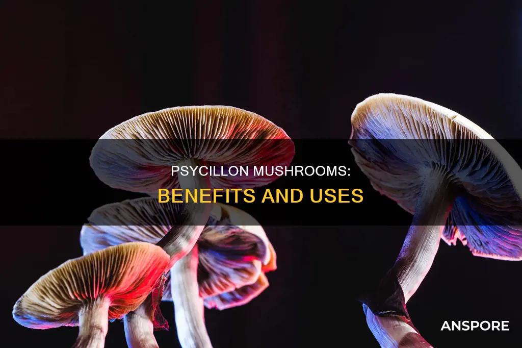 how is psycillon mushroom