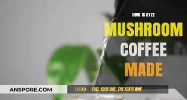 Ryze Mushroom Coffee: A Blend of Superfoods