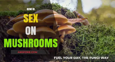 Psychedelic Sex: Mushrooms and Intimacy