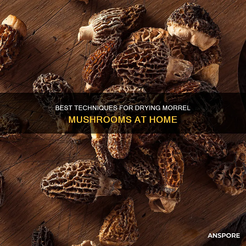 how is the bet way to dry morrel mushrooms