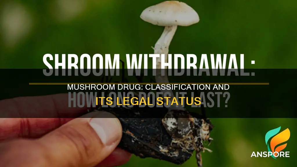 how is the drug mushroom classified
