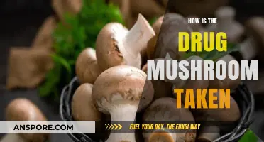 Mushrooms: A Trip Down the Consumption Lane