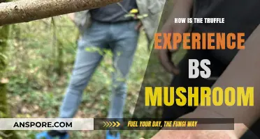 Truffle vs Mushroom: A Tasty Adventure