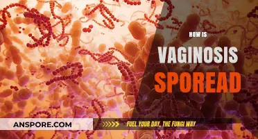 Understanding How Bacterial Vaginosis Spreads: Causes, Risks, and Prevention Tips