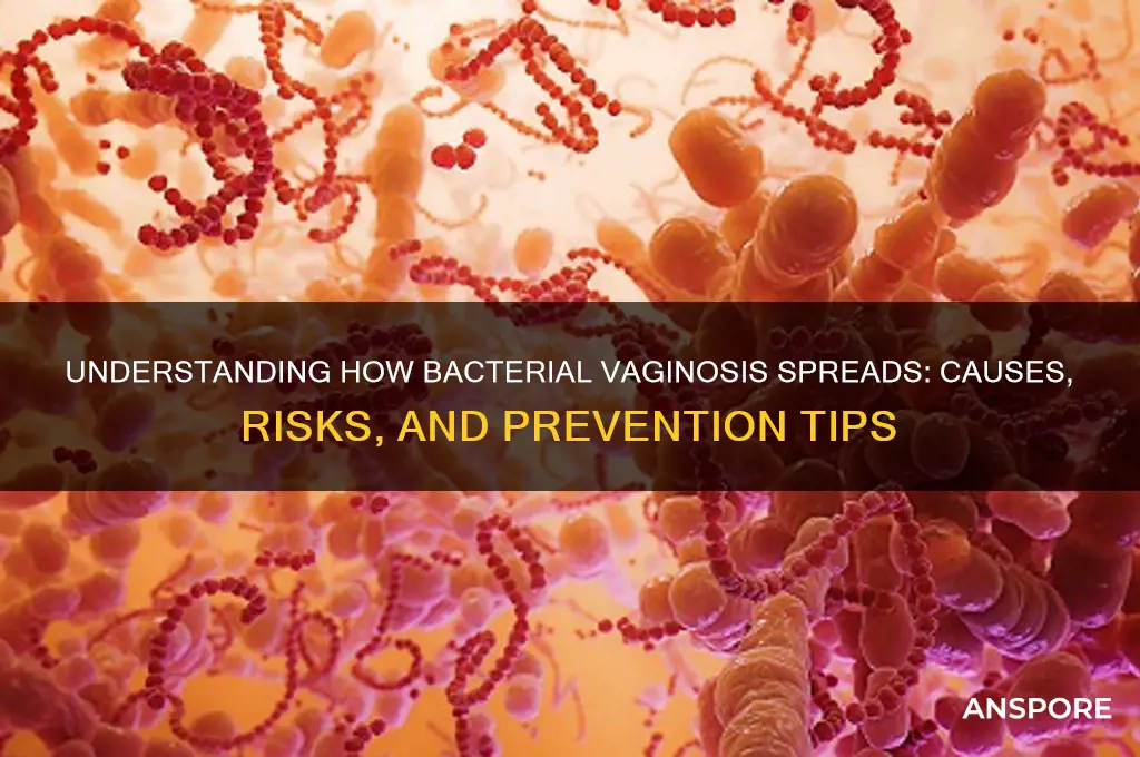 how is vaginosis sporead