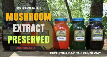 Preserving Water Soluble Mushroom Extracts: Techniques and Tips