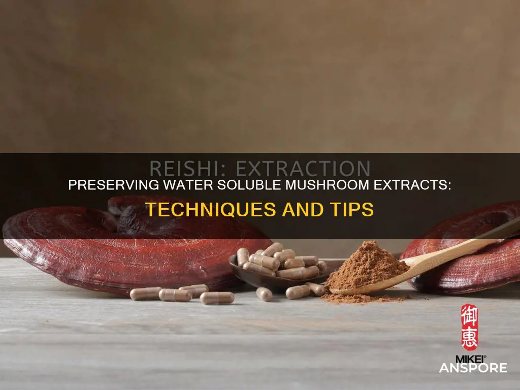 how is water soluble mushroom extract preserved