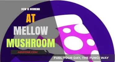 Mellow Mushroom: A Fun and Relaxing Work Environment