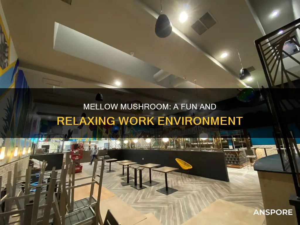 how is working at mellow mushroom