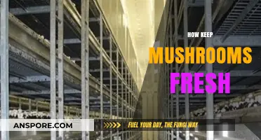 Maintain Mushroom Freshness with These Simple Hacks