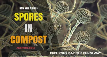 Effective Methods to Eliminate Fungus Spores in Your Compost Pile