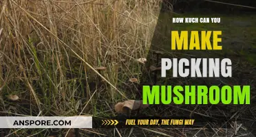 Profitable Mushroom Foraging: Earning Potential from Wild Mushroom Harvesting