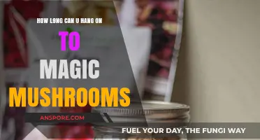 Magic Mushrooms Shelf Life: How Long Can You Safely Store Them?
