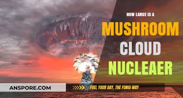 The Massive Scale of Mushroom Clouds