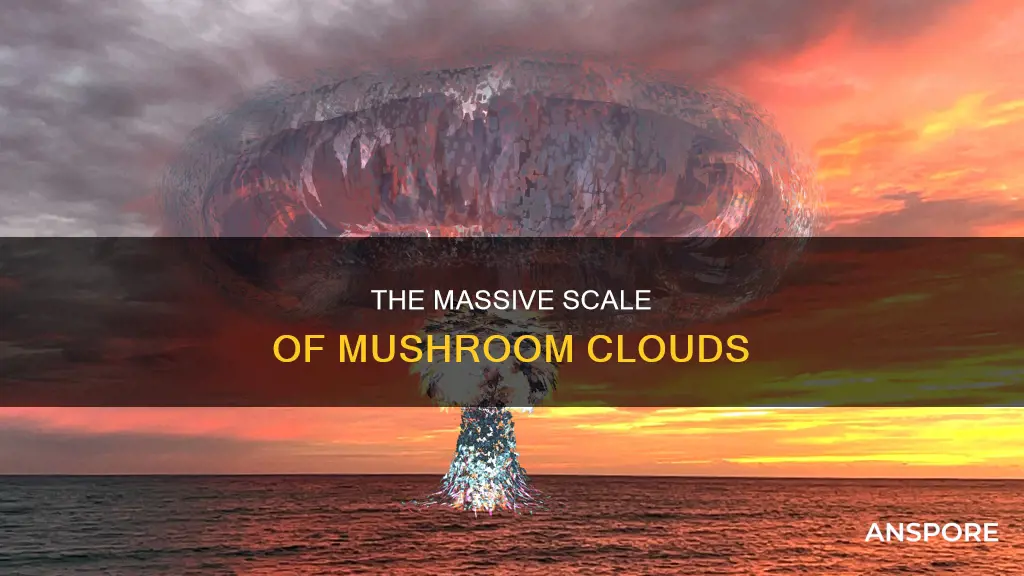 how large is a mushroom cloud nucleaer