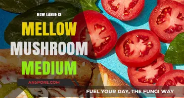 Mellow Mushroom's Medium Pizza: Surprisingly Large!