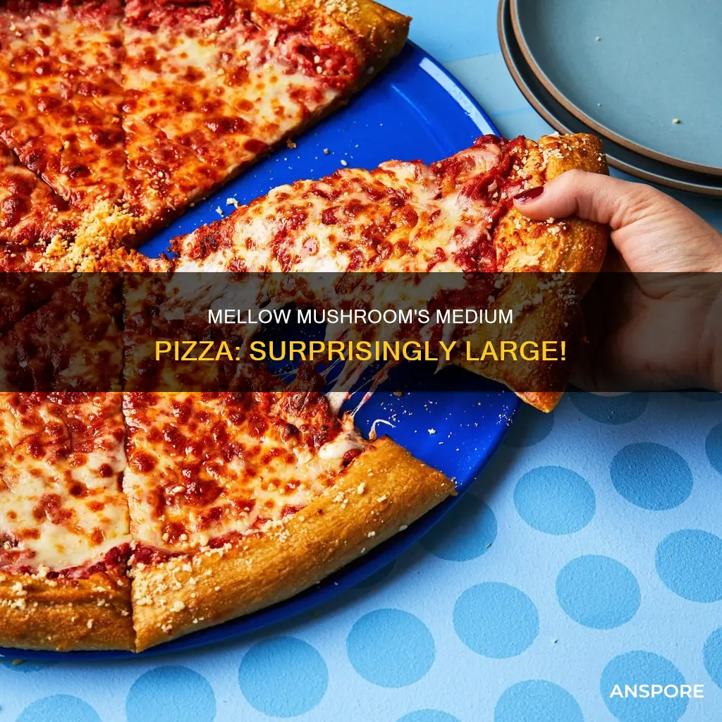 how large is mellow mushroom medium