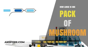 Mushroom Pack Sizes: What's the Standard?