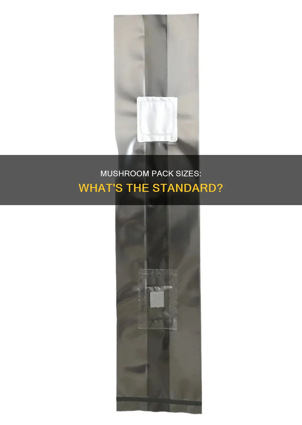 how large is one pack of mushrooms