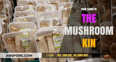 Mushroom Kin: A Diverse and Large Family