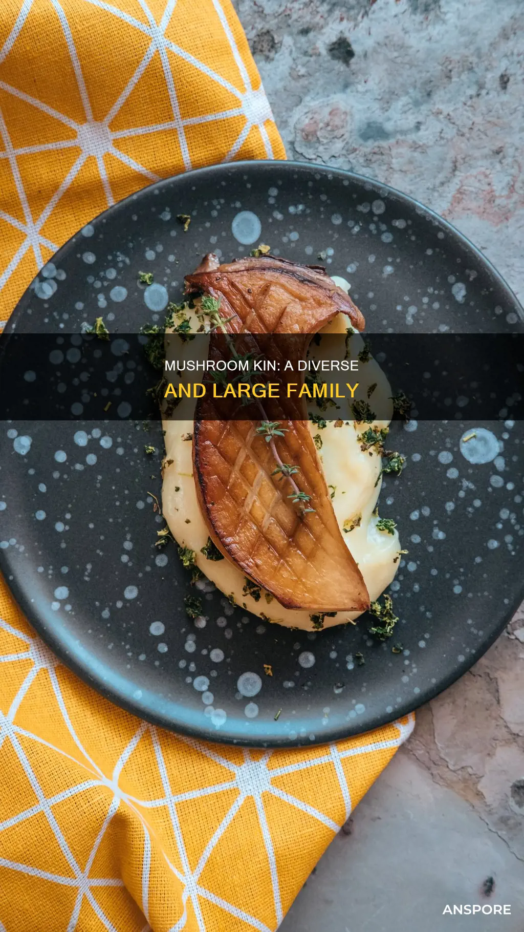 how large is the mushroom kin