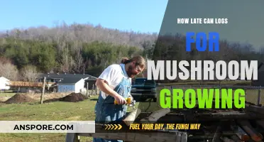 Optimal Timing for Logging in Mushroom Cultivation: A Comprehensive Guide