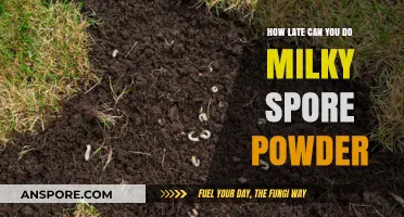 Optimal Timing for Applying Milky Spore Powder in Your Lawn