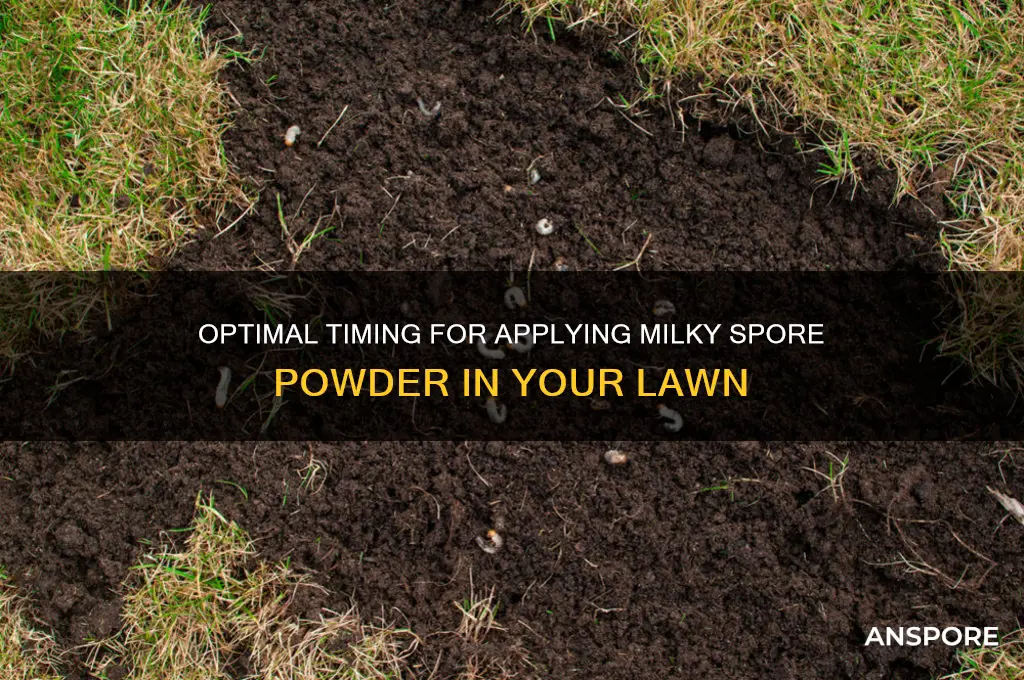 how late can you do milky spore powder