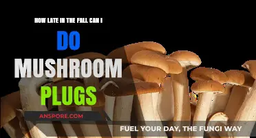 Optimal Timing for Fall Mushroom Plugs: Late-Season Inoculation Tips