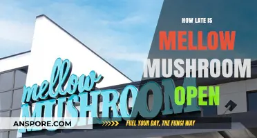 Mellow Mushroom Late-Night Hours: Everything You Need to Know