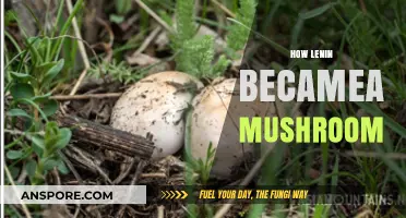 Lenin's Transformation: Mushroom Revolution