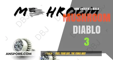 Black Mushroom Mystery in Diablo 3