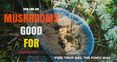 Shelf Life Secrets: How Long Are Mushrooms Good For?