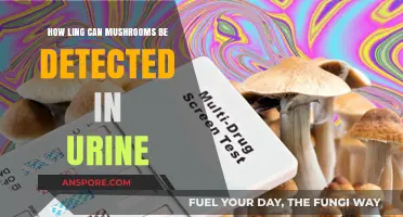 Detecting Mushrooms in Urine: How Long Do They Stay Traceable?