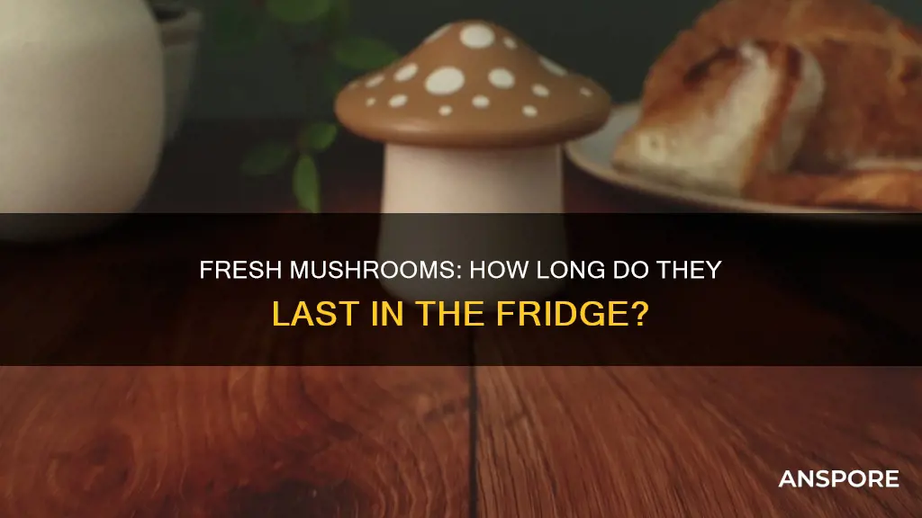 how ling do fresh mushrooms keep in refrigerator