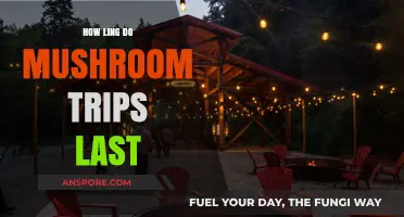 The Duration of Mushroom Trips: How Long Do They Last?