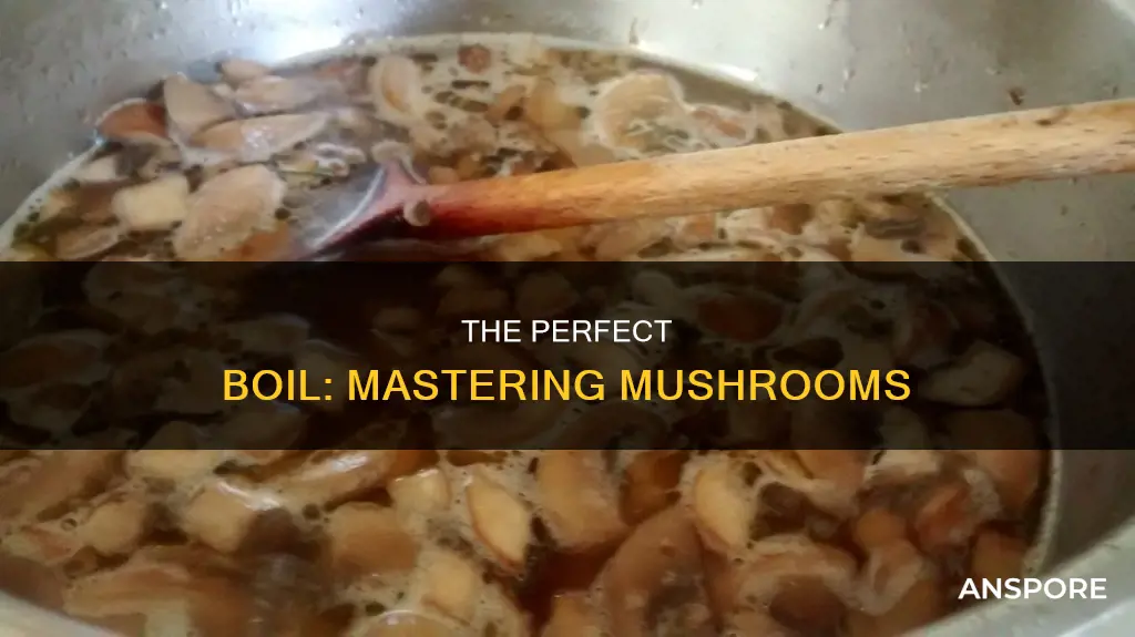 how ling should i boil mushroom