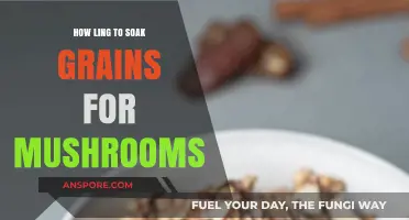 The Perfect Soak Time for Grains and Mushrooms